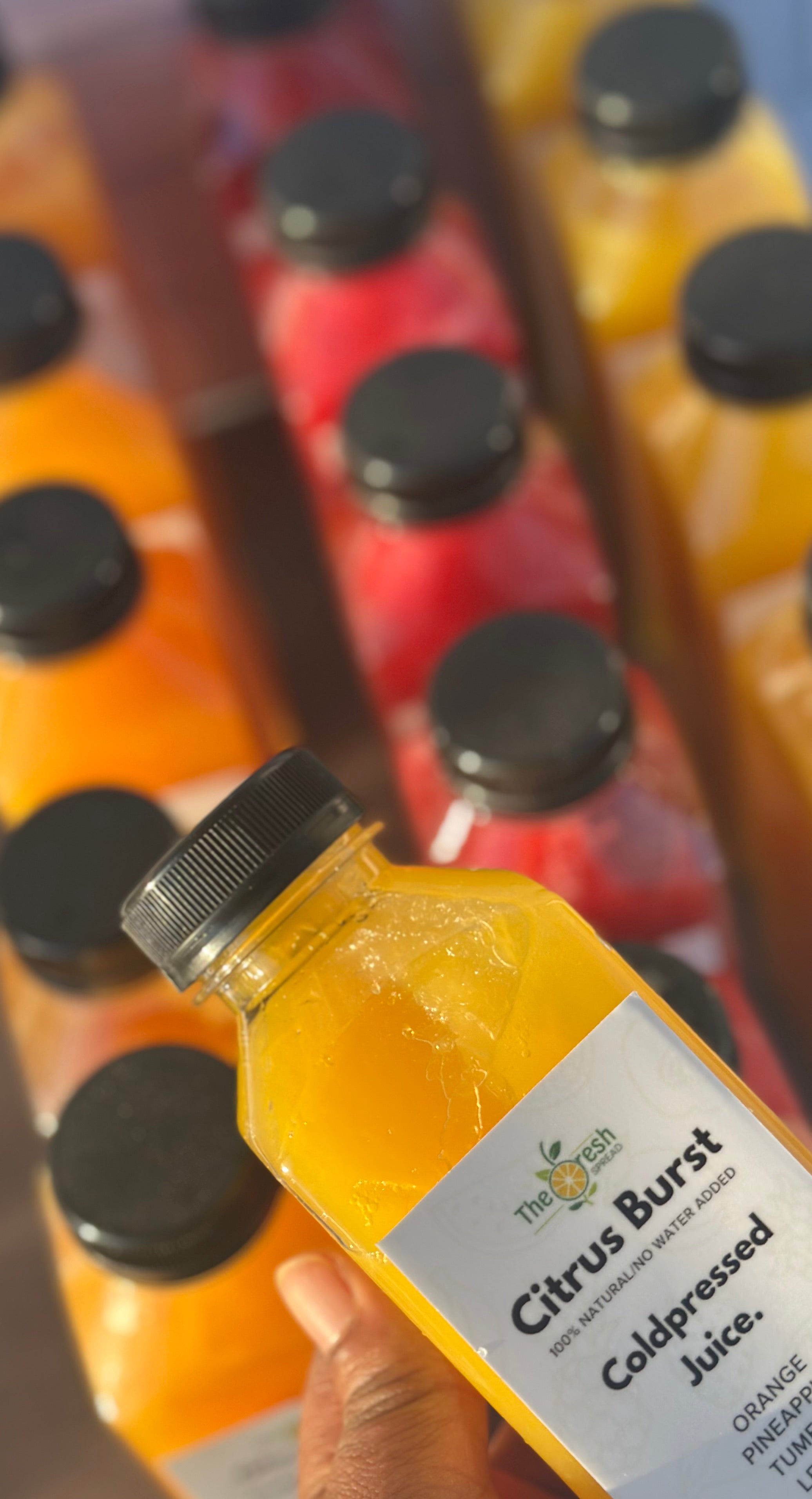 15 bottles - 3 mix Juice package (500)ml